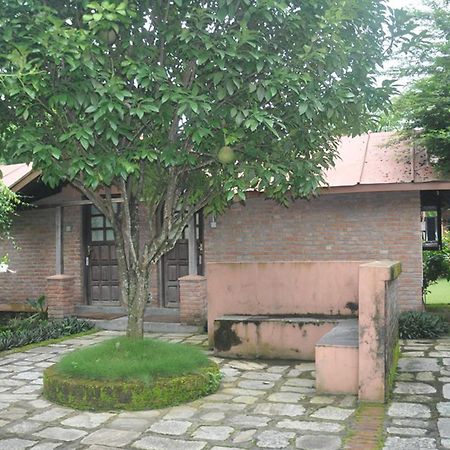 Hotel Elephant Camp Sauraha Exterior foto
