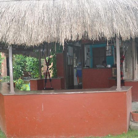 Hotel Elephant Camp Sauraha Exterior foto