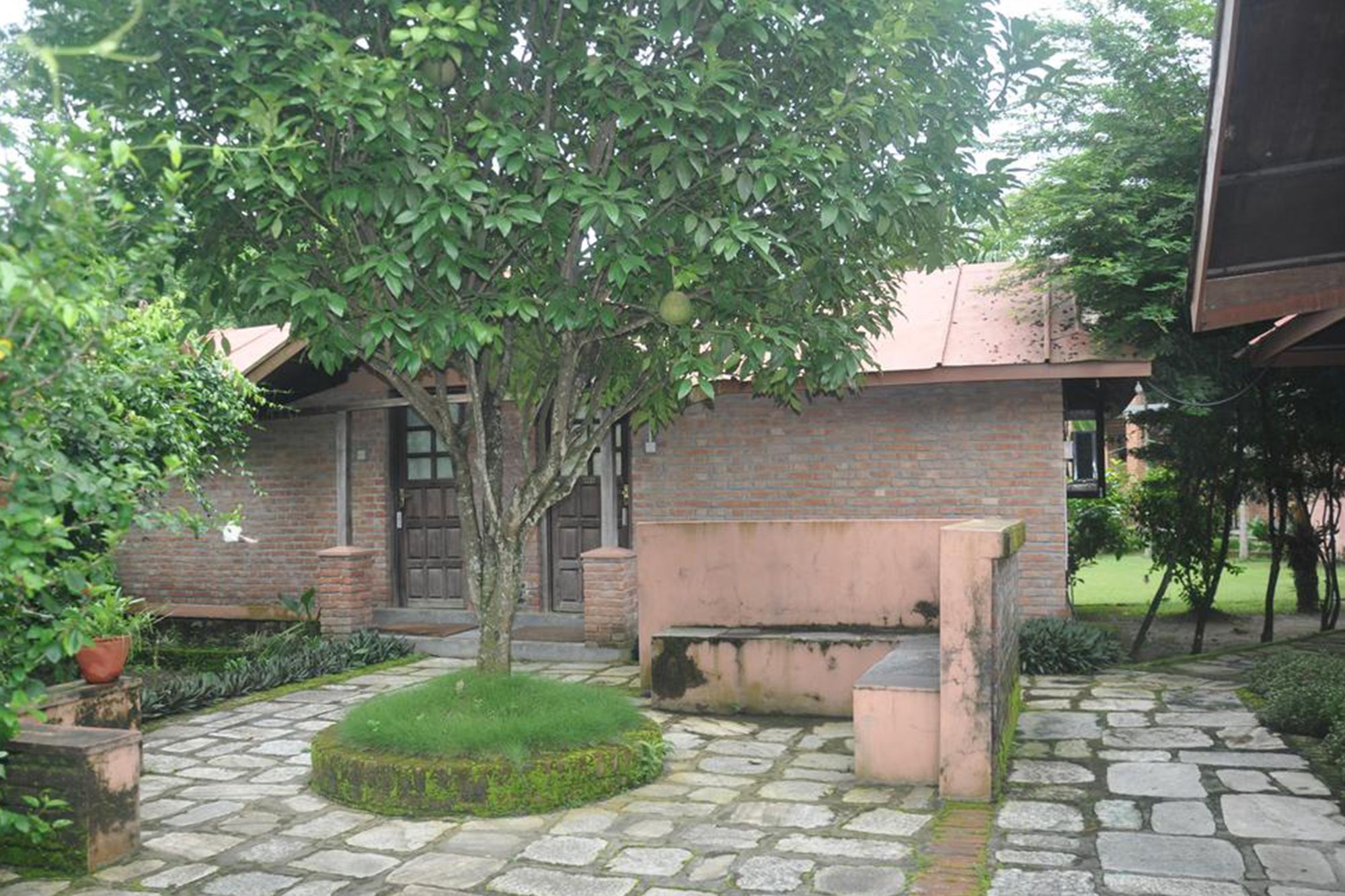 Hotel Elephant Camp Sauraha Exterior foto