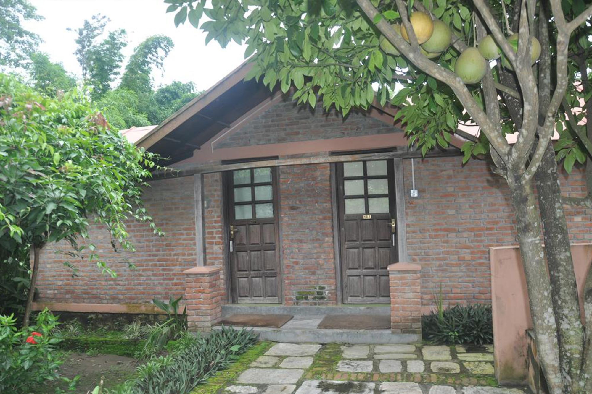 Hotel Elephant Camp Sauraha Exterior foto