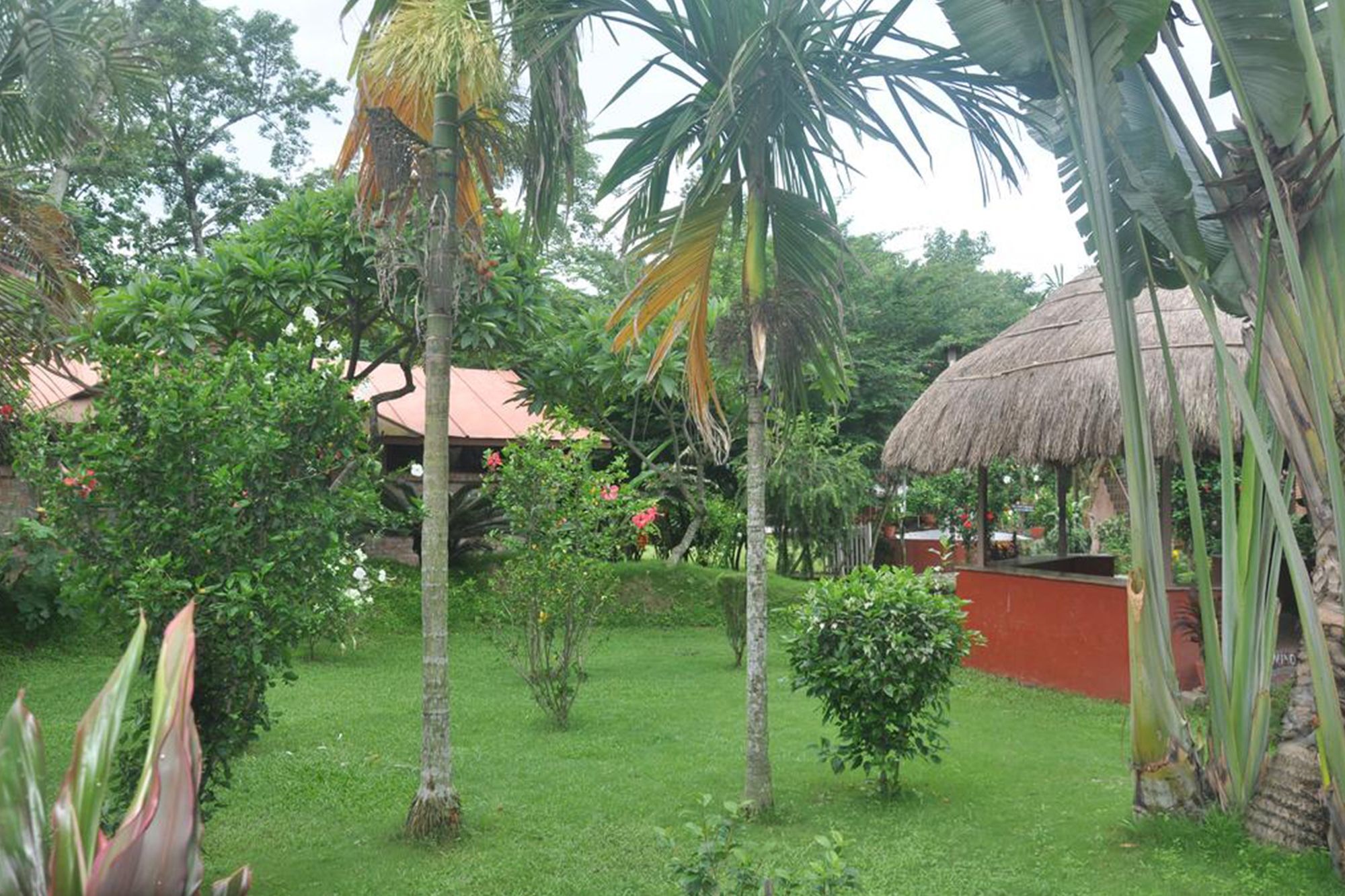 Hotel Elephant Camp Sauraha Exterior foto