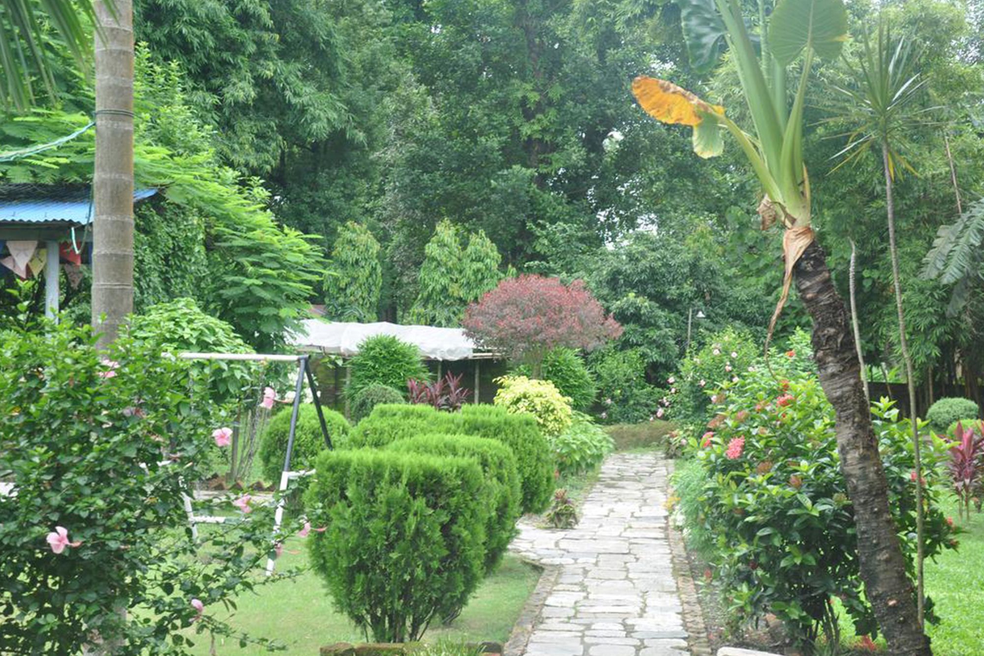 Hotel Elephant Camp Sauraha Exterior foto